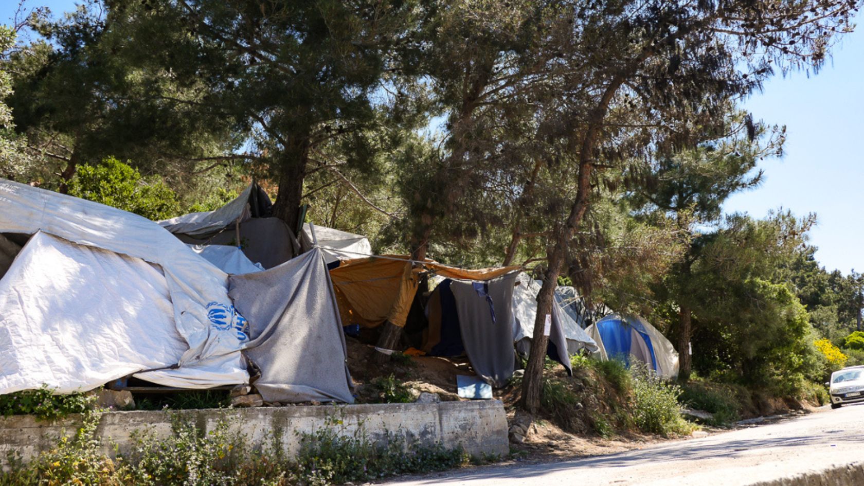 Tents and makeshift shelters introduce a sense of rustic life among roadside trees, with some vegetation and a partially visible car in the foreground, creating an almost picturesque scene reminiscent of living with Climate Pets. | Jacob Warn